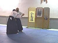 Ushiro ryote dori udekime nage